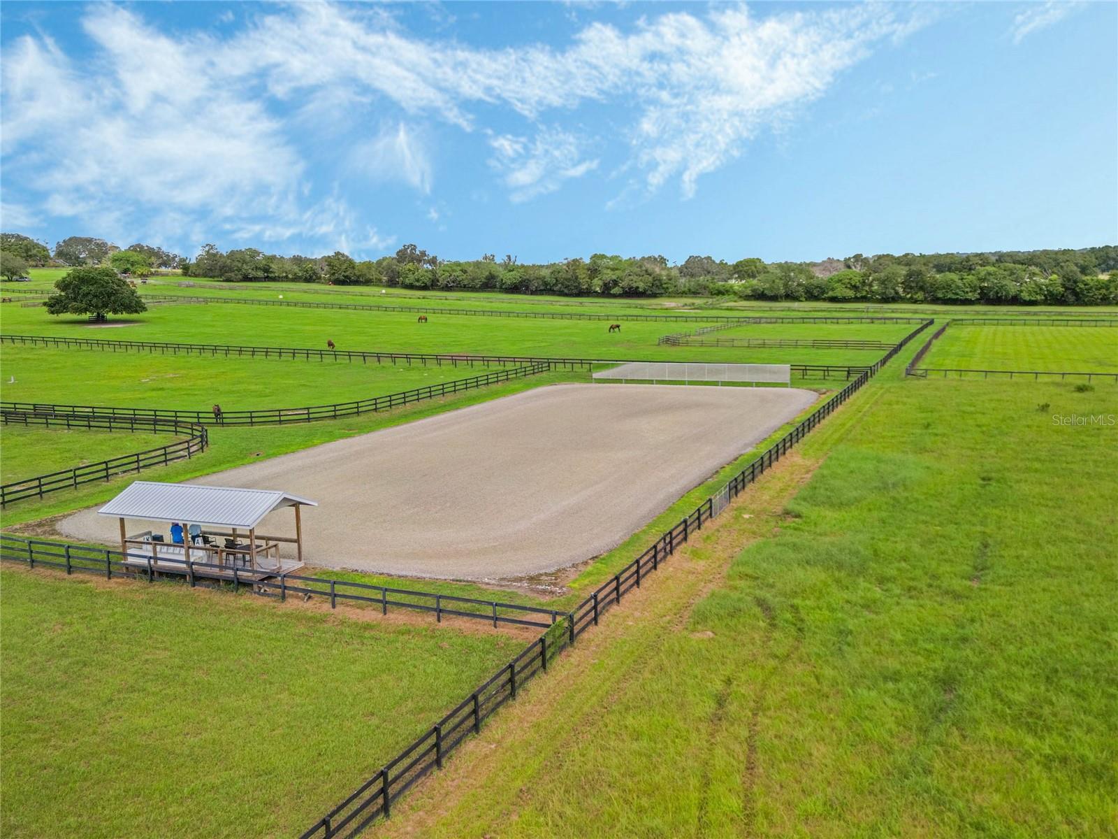 SUNRISE FARMS - Farm