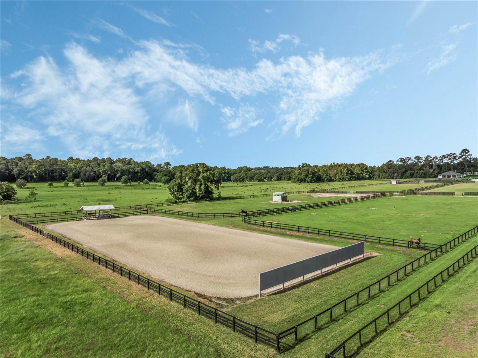 SUNRISE FARMS - Farm