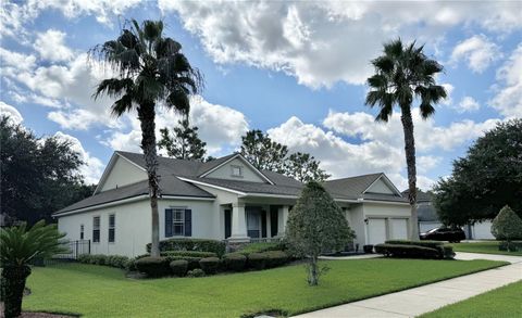 A home in ORANGE PARK