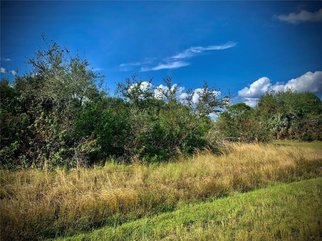 Photo of 9429 Spring Circle, Port Charlotte, FL 33981 (MLS # D6143779)