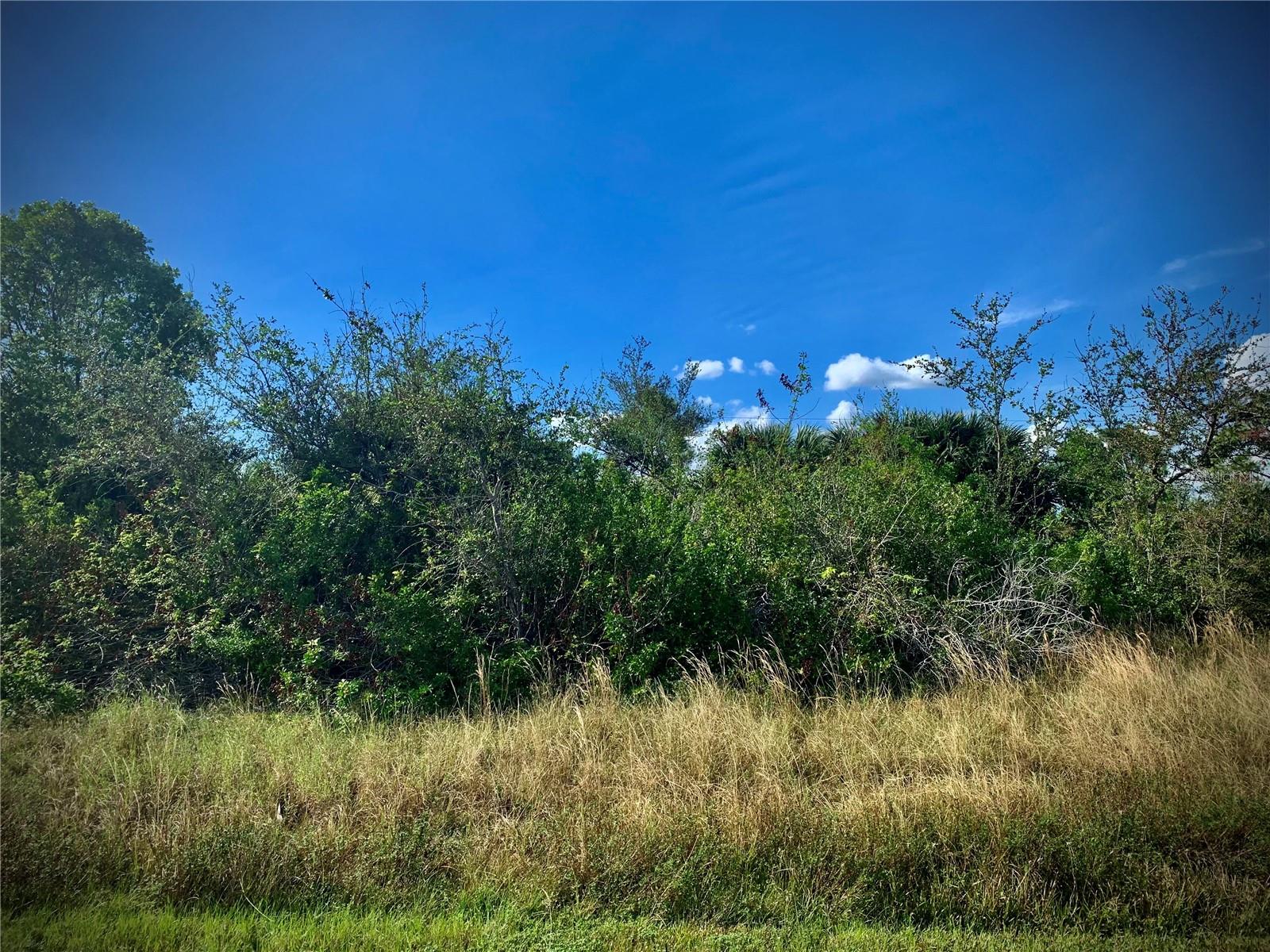 This bucolic lot is located in the beautiful boating community of South Gulf Cove directly across the street from a canal. The South Gulf Cove community offers a boat ramp, children's park and clubhouse. This lot is in close proximity to the tropical beaches of Boca Grande and Englewood beaches, multiple restaurants with live musical entertainment, golf courses, shopping and sports parks. This is the perfect location to construct your dream house in paradise!!!