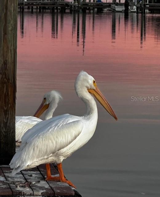 PARADISE BAY ESTATES CO-OP - Residential