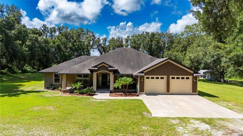 Tiny photo for 1923 Cr 738, Webster, FL 33597 (MLS # G5099801)
