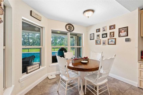 Tiny photo for 1923 Cr 738, Webster, FL 33597 (MLS # G5099801)