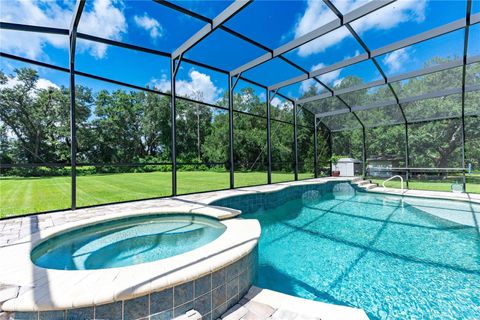 Tiny photo for 1923 Cr 738, Webster, FL 33597 (MLS # G5099801)