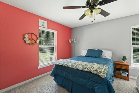 Tiny photo for 1923 Cr 738, Webster, FL 33597 (MLS # G5099801)