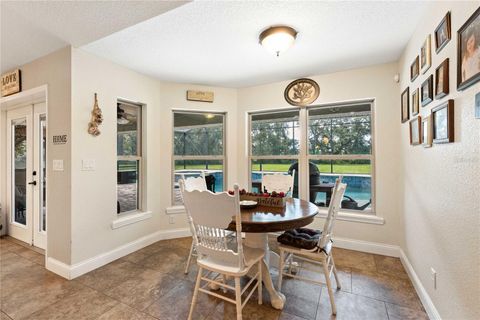 Tiny photo for 1923 Cr 738, Webster, FL 33597 (MLS # G5099801)