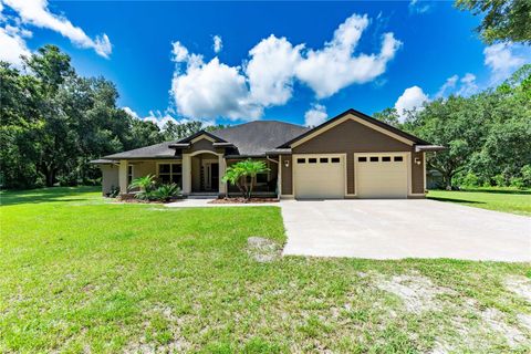 Tiny photo for 1923 Cr 738, Webster, FL 33597 (MLS # G5099801)