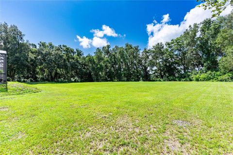 Tiny photo for 1923 Cr 738, Webster, FL 33597 (MLS # G5099801)