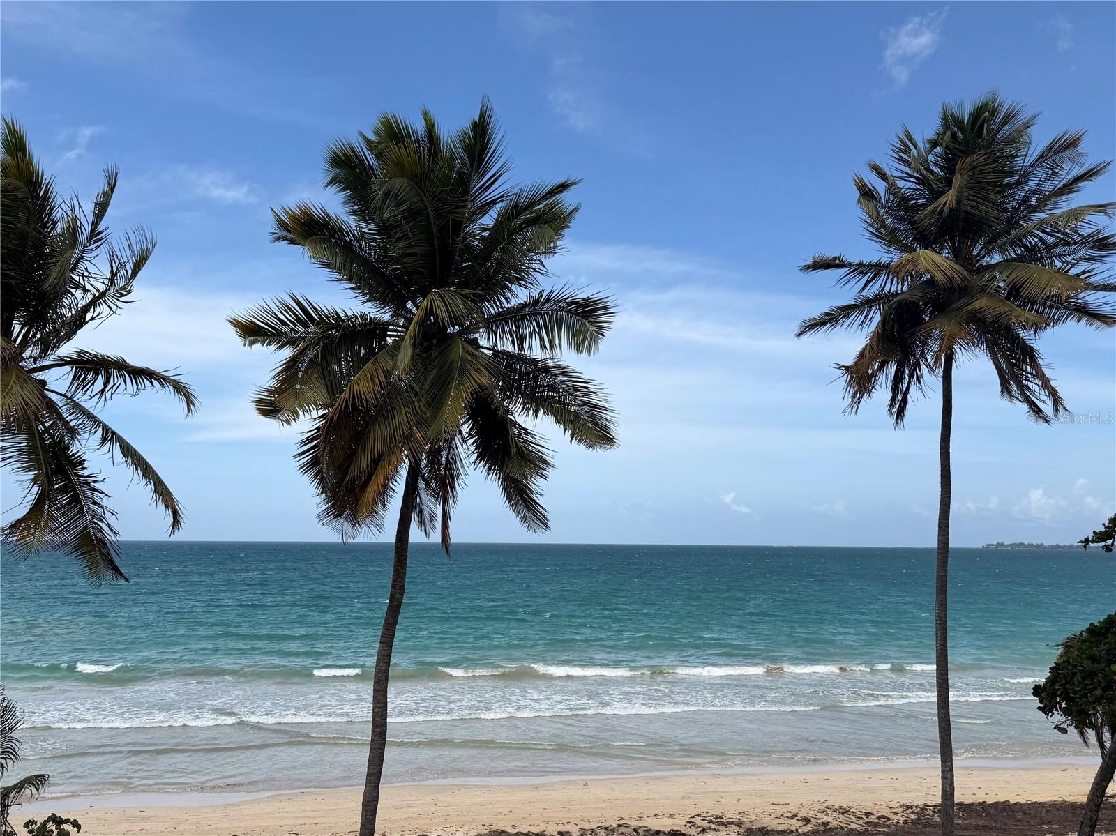 3409 AVE ISLA VERDE 203