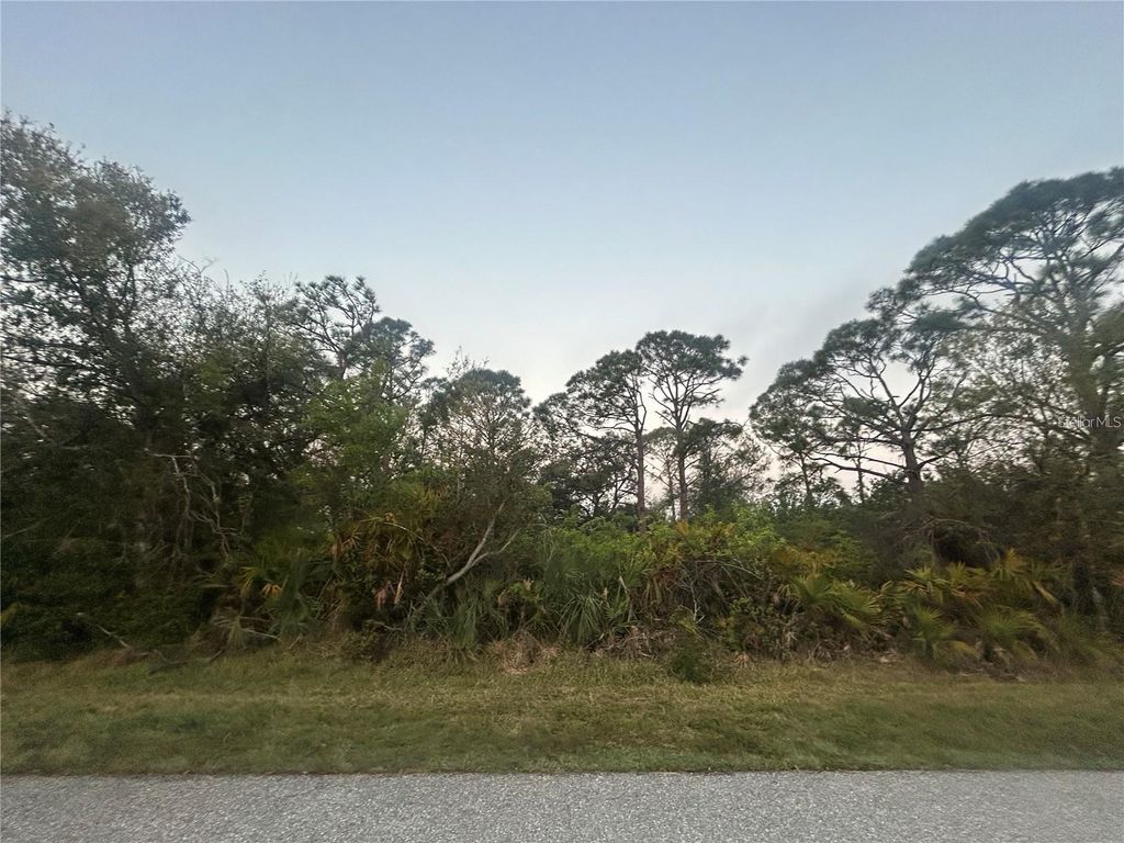 Photo of 6261 Blackberry Street, Englewood, FL 34224 (MLS # C7524750)
