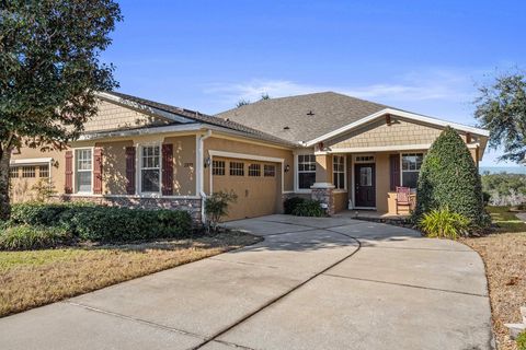 Photo of 22019 Belgian Court, Mount Dora, FL 32757 (MLS # O6375896)