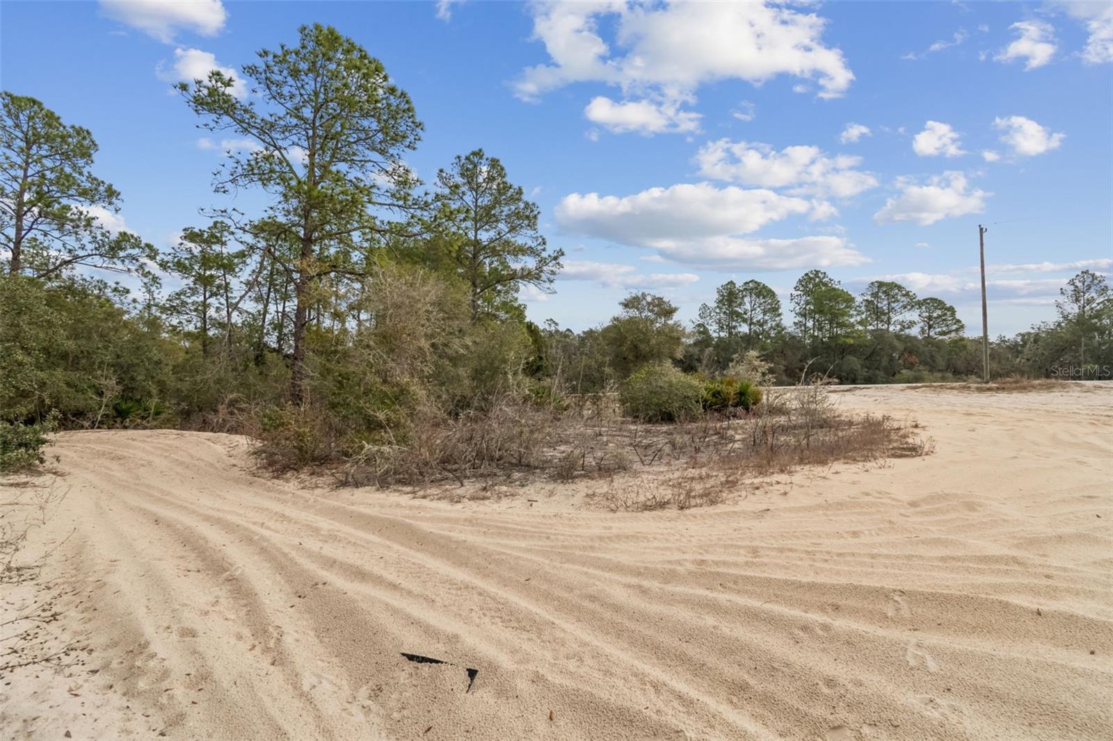 RIDGE MANOR ESTATE - Land