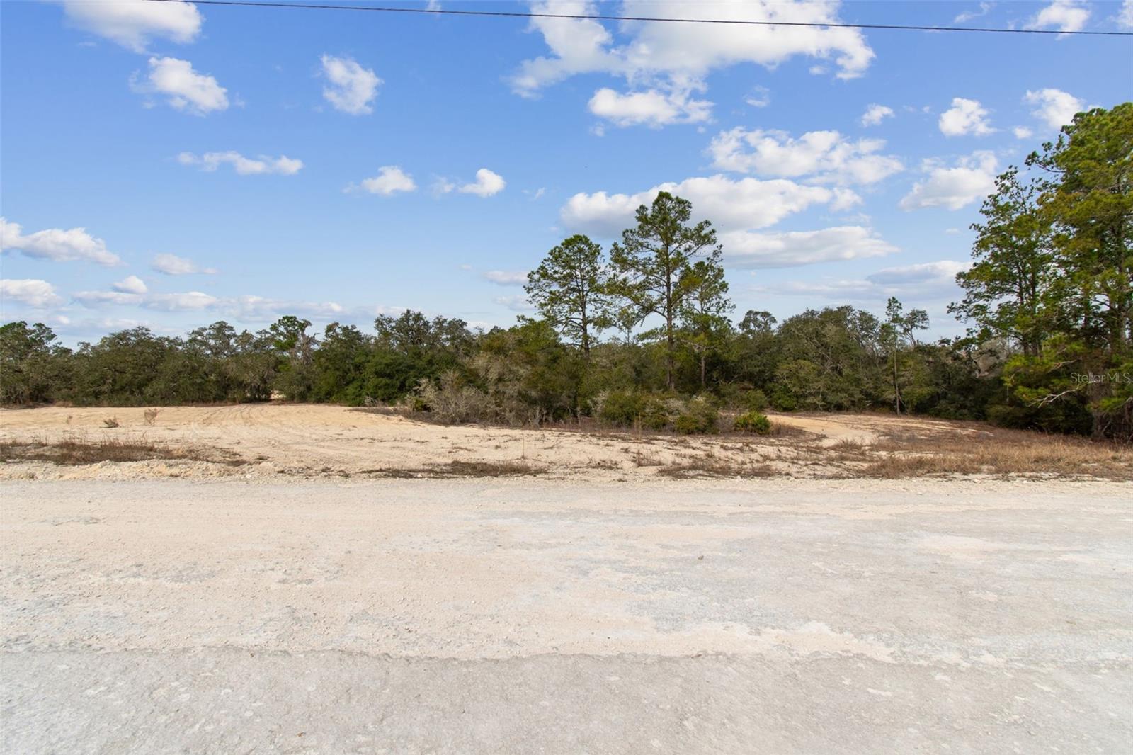 RIDGE MANOR ESTATE - Land