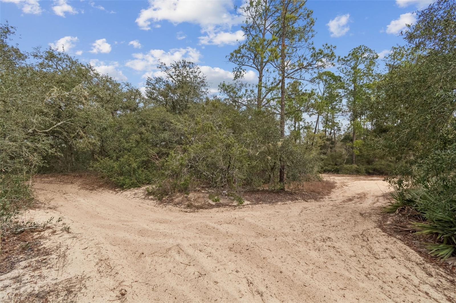 RIDGE MANOR ESTATE - Land