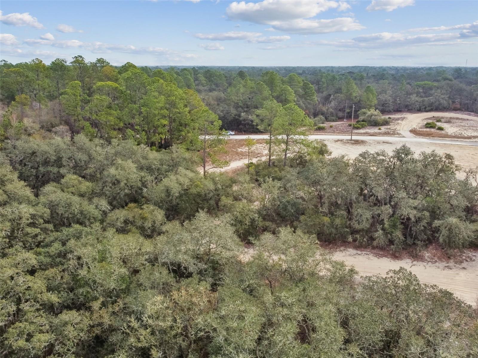 RIDGE MANOR ESTATE - Land