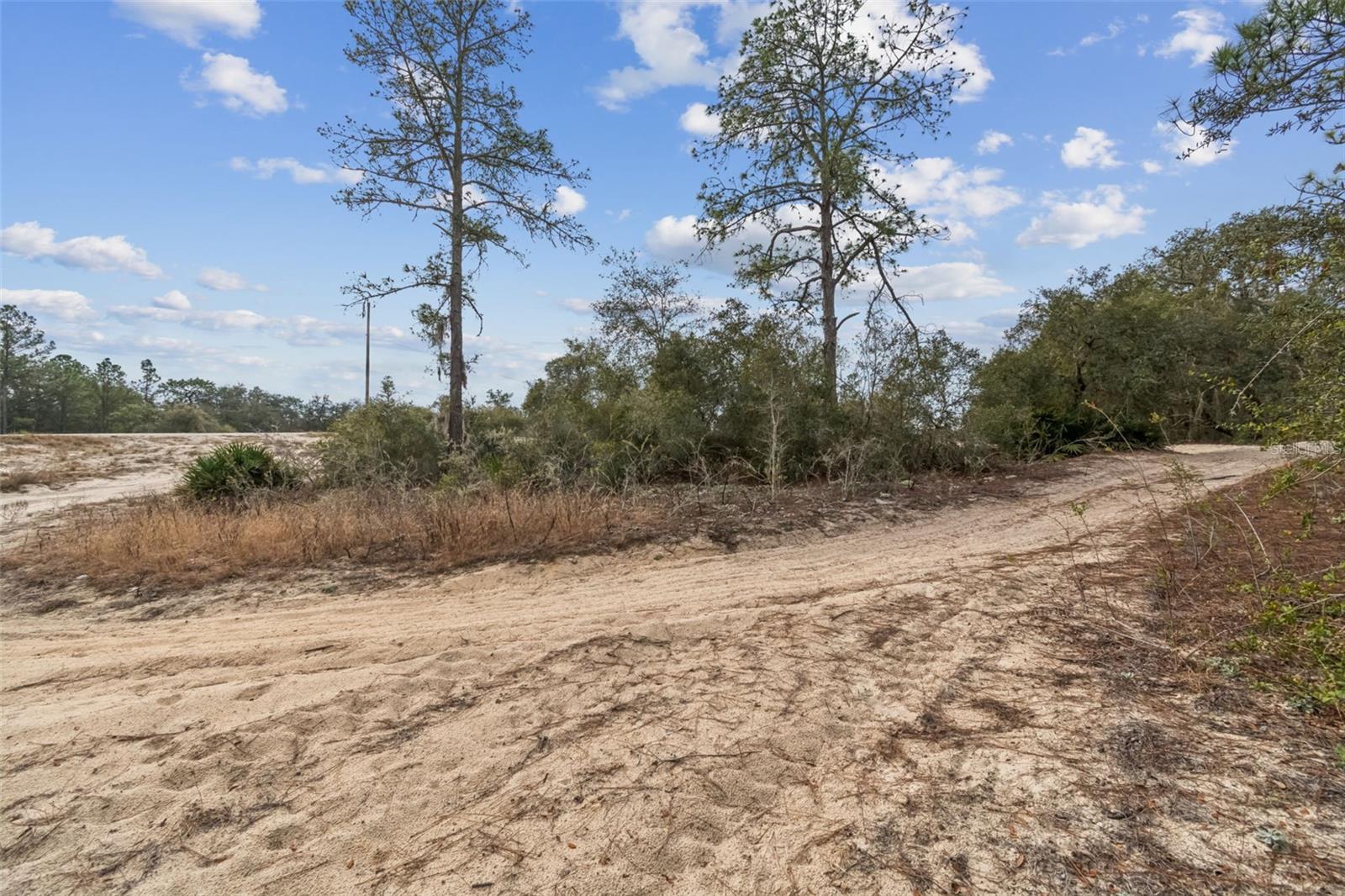 RIDGE MANOR ESTATE - Land