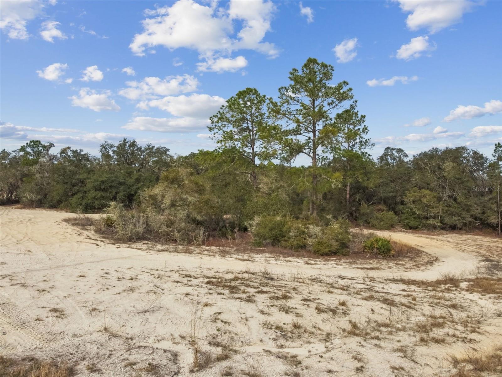 RIDGE MANOR ESTATE - Land