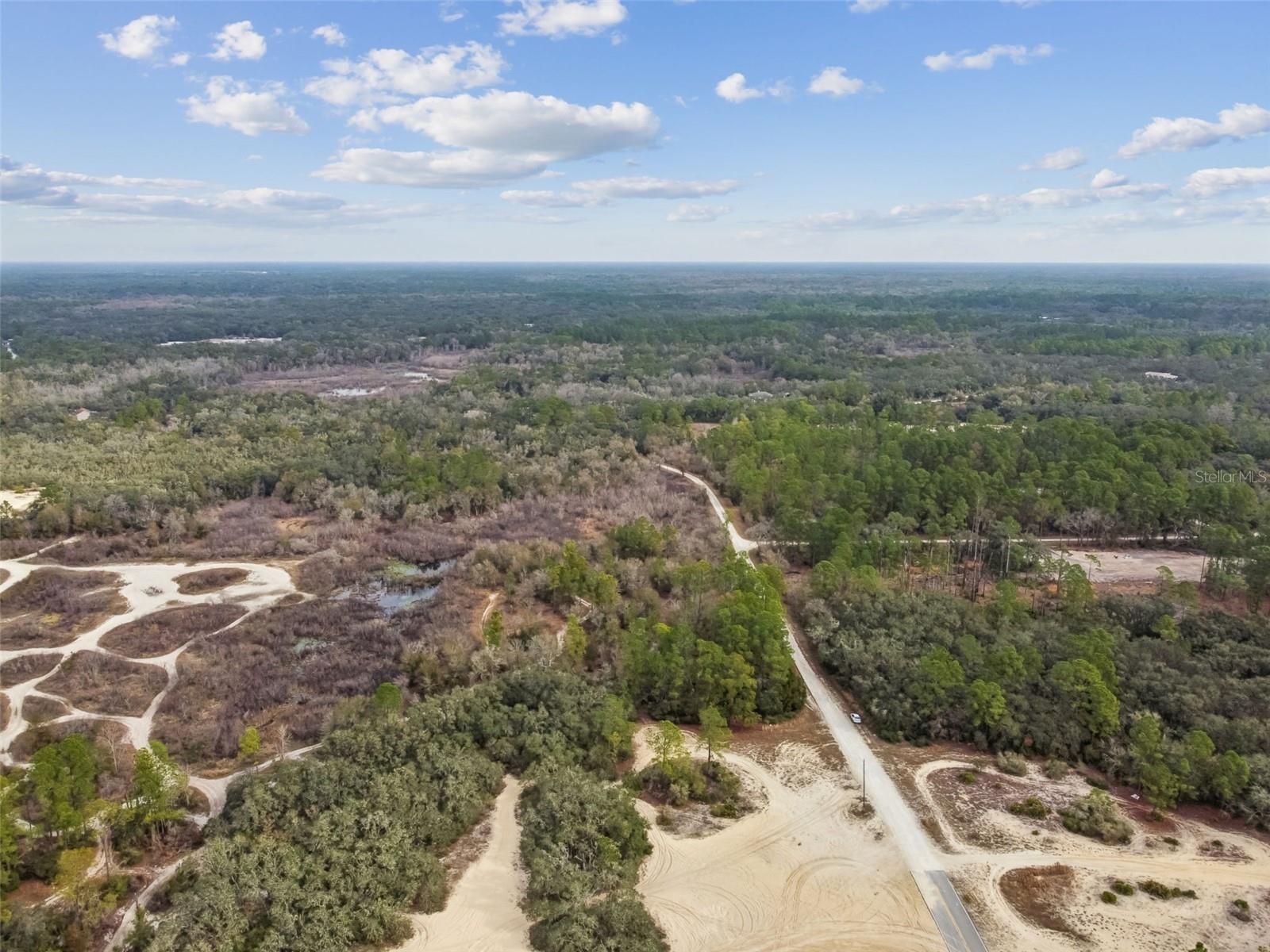 RIDGE MANOR ESTATE - Land