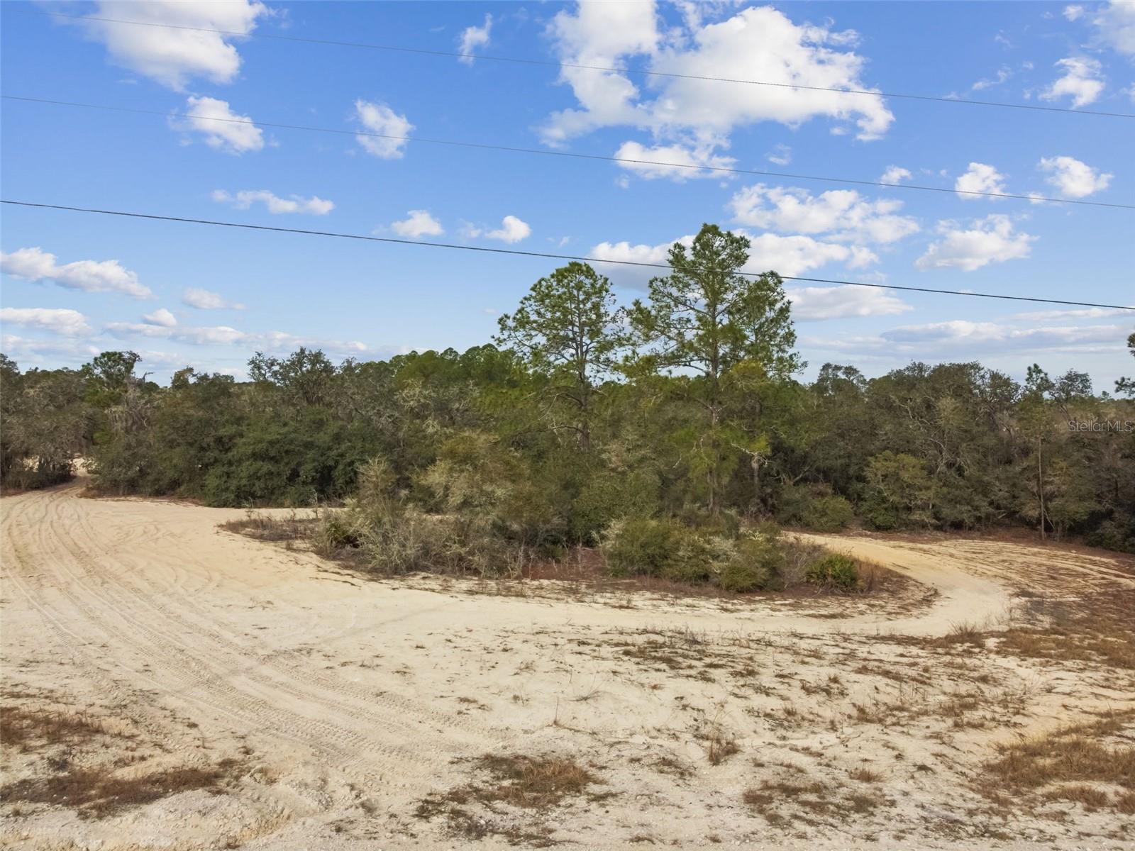 RIDGE MANOR ESTATE - Land