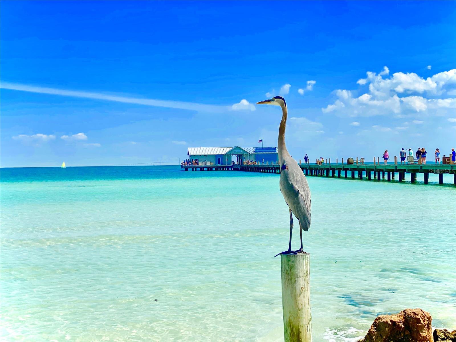 FIDDLERS GREEN - Residential