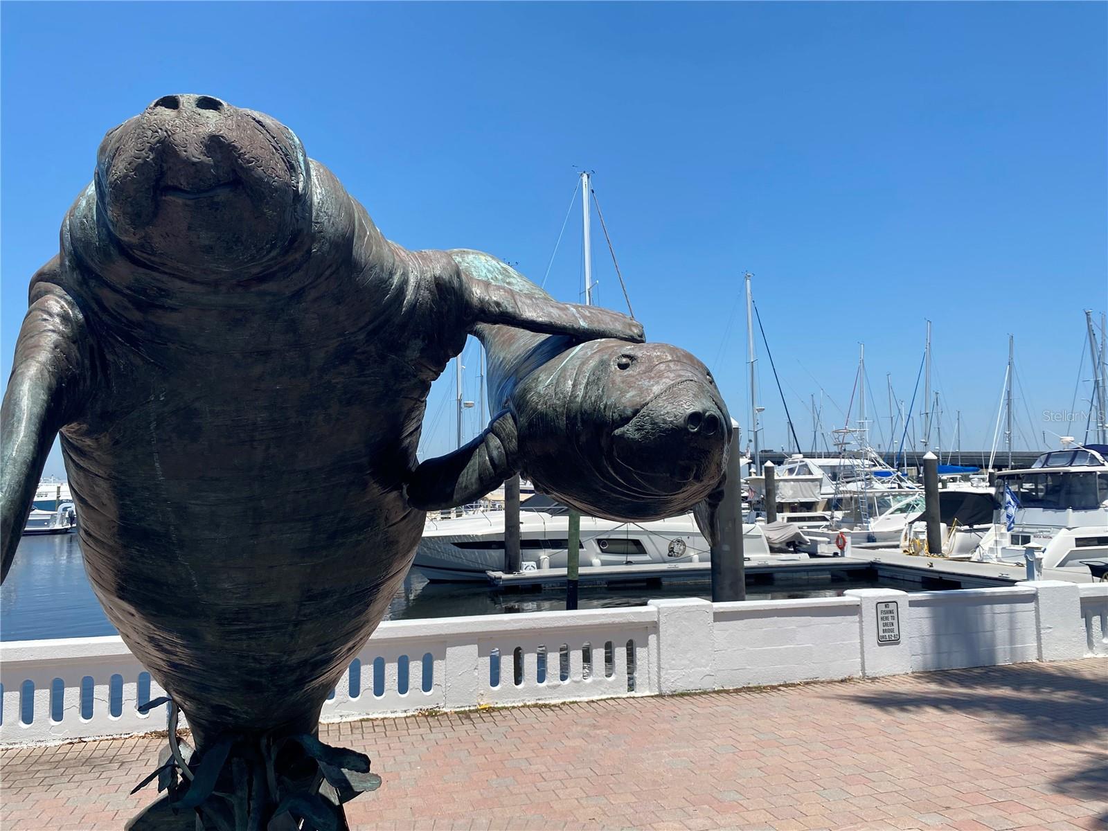 FIDDLERS GREEN - Residential