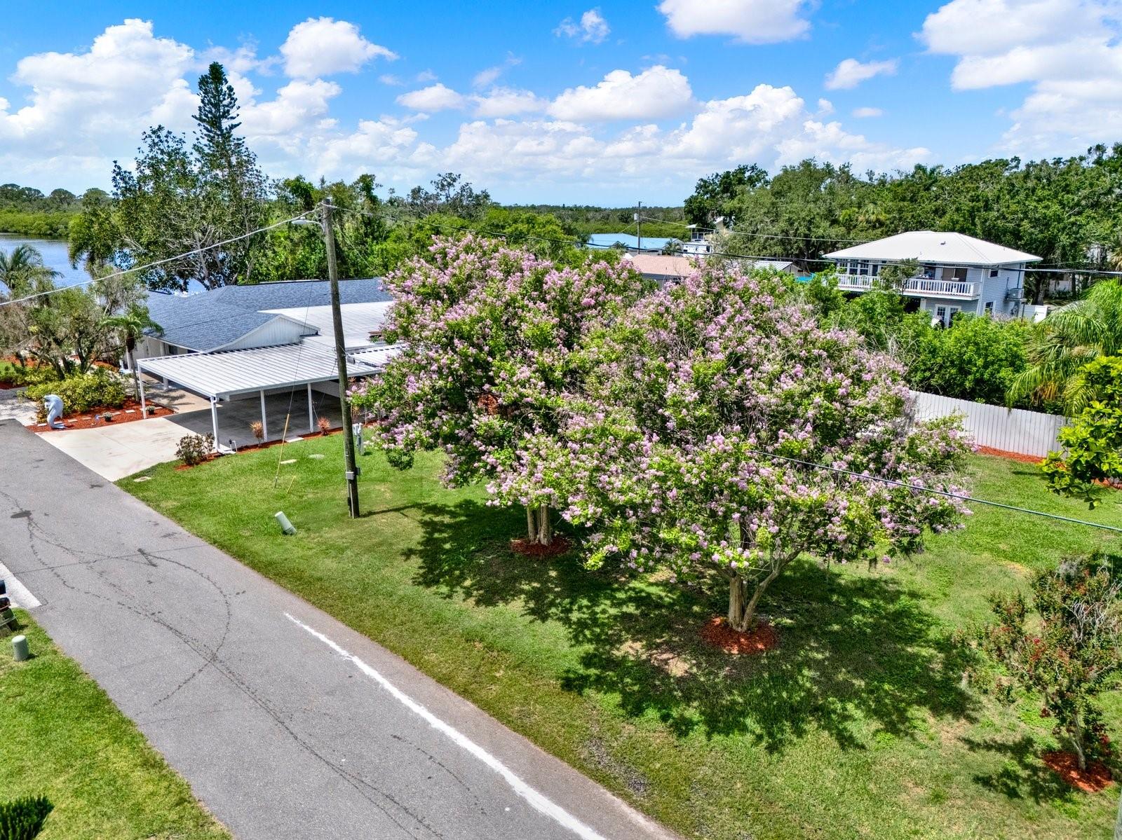 UNPLATTED - Residential