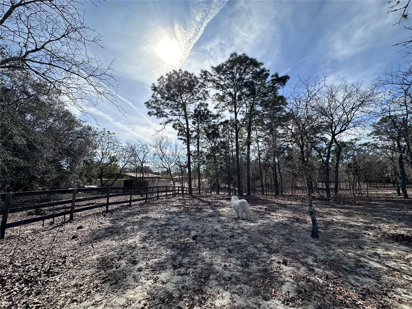 TRIPLE CROWN FARMS UNIT 1 - Land