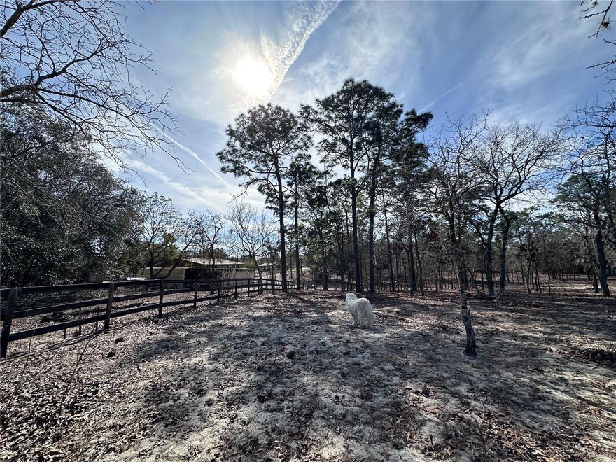 5 Acres, Once in a while, there is an opportunity to buy in Triple Crown Farms. Beautiful rolling hills lot, fenced and lightly wooded. Perfect for your site-built home or new manufactured home. Bring your animals. Centrally located between Williston and Dunnellon, less than 30 minutes to the World Equestrian Center for those who enjoy the horse community, this is the perfect spot! Be ready to meet the farm-friendly animals next door! They're adorable!