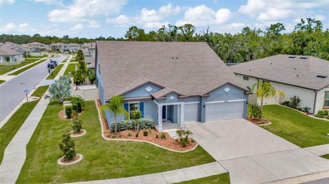 Photo of 18359 Cortes Creek Boulevard, Spring Hill, FL 34610 (MLS # TB8408136)