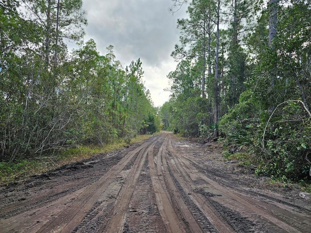 Photo of 804 Shell Harbor Road, Pierson, FL 32180 (MLS # R4910423)