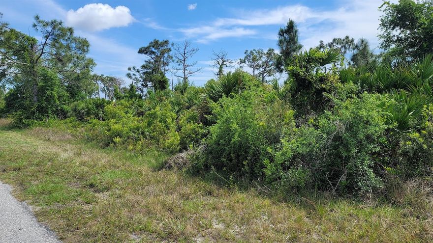 Looking for a vacant lot in desirable South Gulf Cove? Check out 13557 Abutilon Lane! This vacant lot is easily accessed requiring only two turns off of Gasparilla Road, so no getting lost in suburbia. Speaking of easy access; grocery shopping, home improvement stores, and restaurants are only a 5 minute drive away. You can reach downtown Englewood and gulf beaches within a 10-20 minute drive, and Gasparilla Island is only a 20 minute drive as well. This lot will make an excellent site to build that Florida dream home, or add value to any portfolio. Call today for more information, questions, or to arrange a private showing!