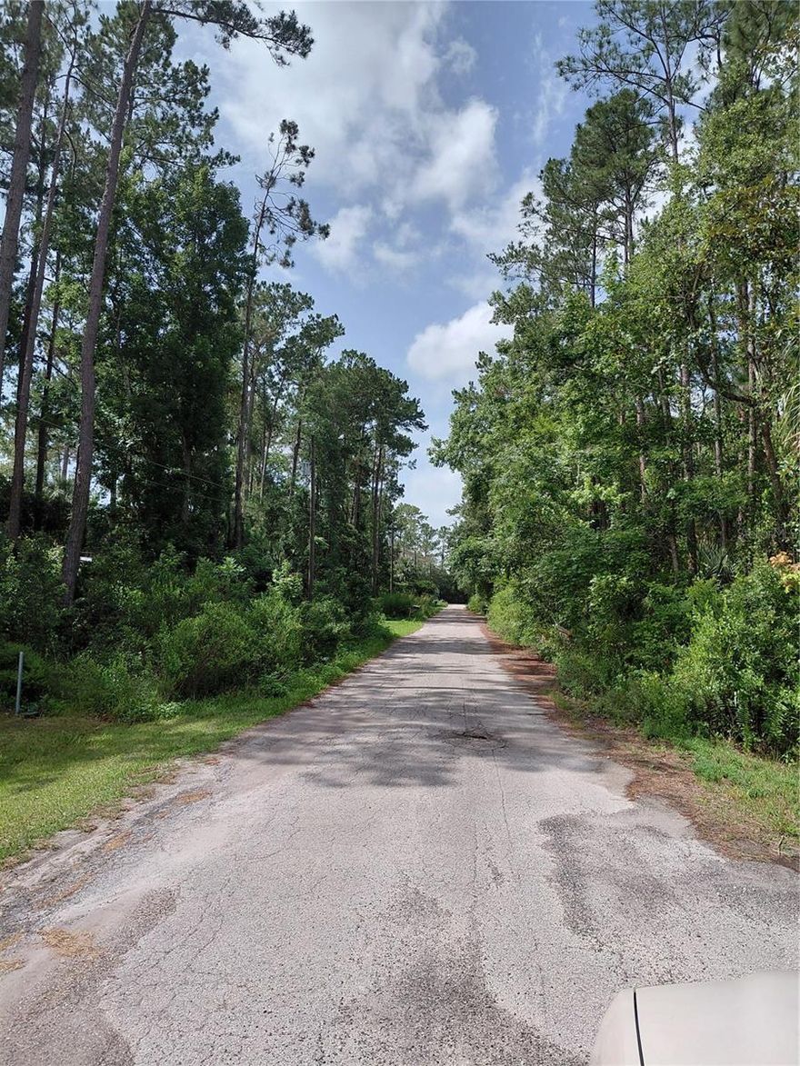 LEVEL, WOODED, RESIDENTIAL LOT ON A PAVED ROAD.  WATER, SEWER AND ELECTRIC HOOKUPS AVAILABLE AT STREET.  BRING YOUR BUILDER OR BUYER LOOKING FOR A BEAUTIFUL WOODED LOT ON A DEAD END STREET.  CLOSE TO STORES AND RESTAURANTS IN ASTOR.  CLOSE TO BOAT RAMPS ON ST JOHNS RIVER.   MOTIVATED SELLER.  BRING ALL OFFERS.