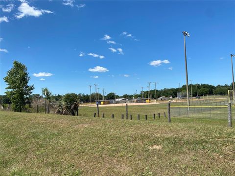 A home in BELLEVIEW