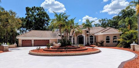 4872 SILVERTHORNE COURT OLDSMAR FL 34677