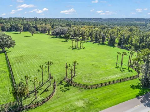 TBD HWY 329 REDDICK FL 32686
