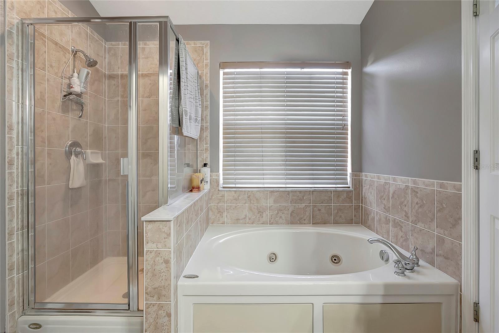 SEMINOLE PALMS AT LARGO - Residential