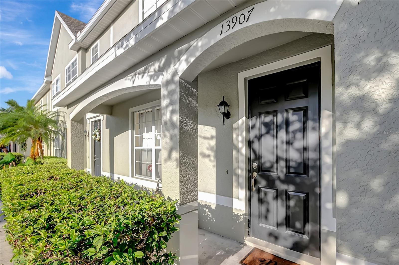 SEMINOLE PALMS AT LARGO - Residential