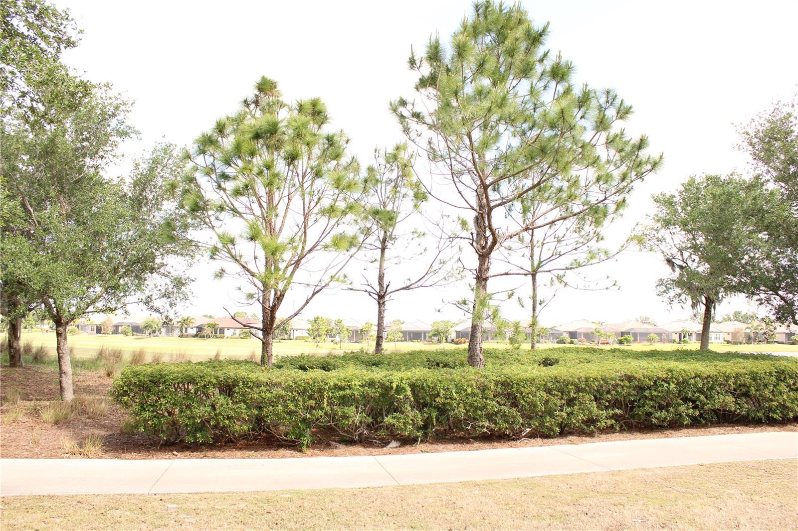 BACCIANO I AT ESPLANADE LAKEWOOD RANCH 1 - Residential Lease