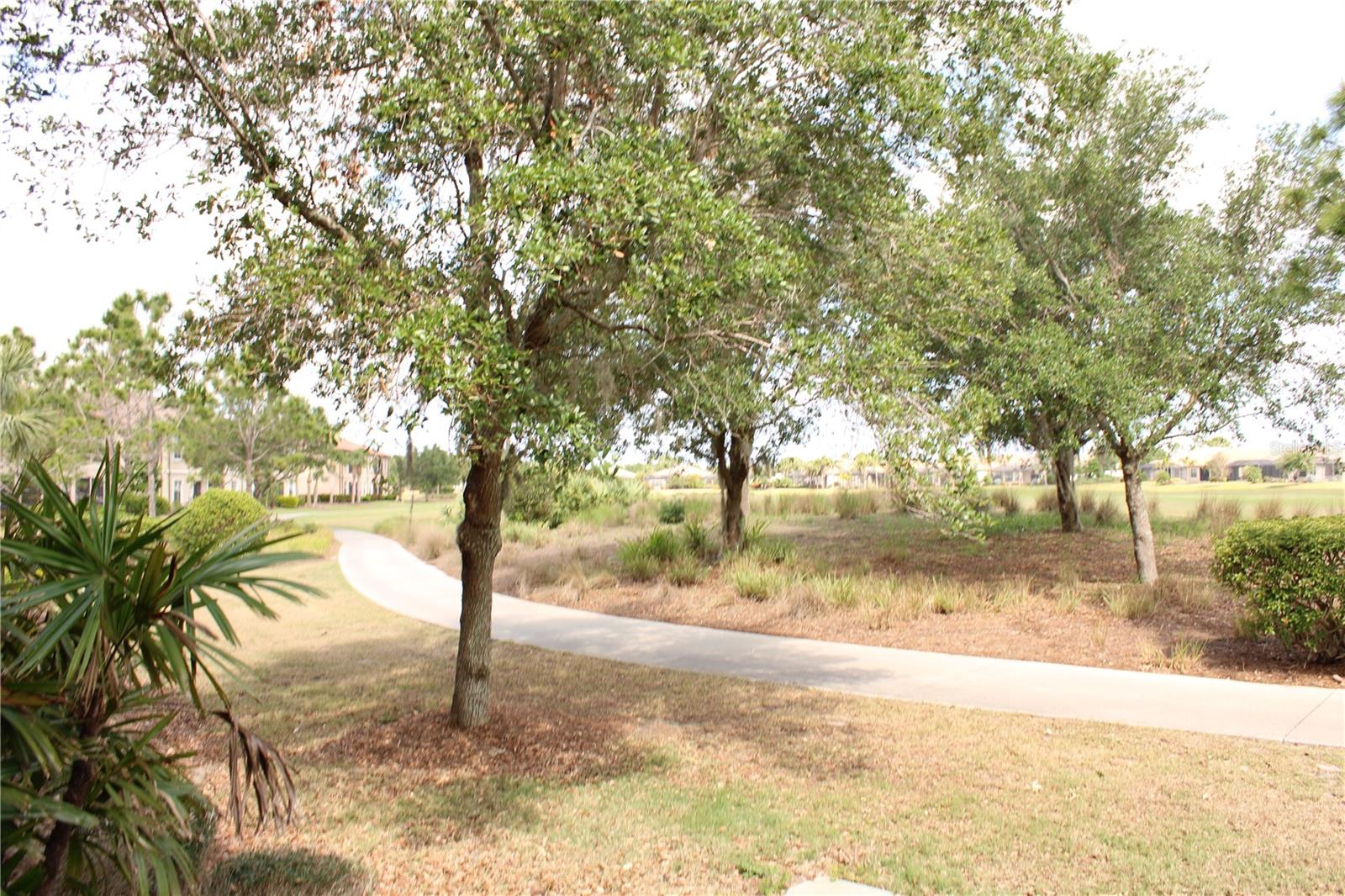 BACCIANO I AT ESPLANADE LAKEWOOD RANCH 1 - Residential Lease