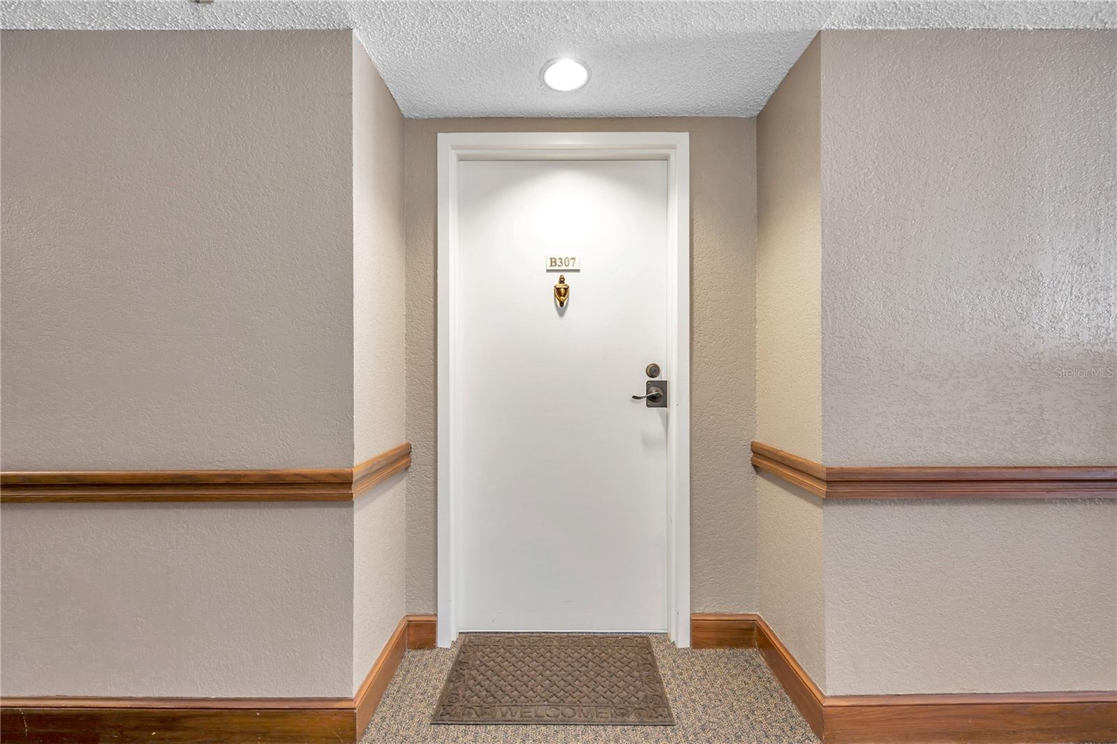 2333 FEATHER SOUND DRIVE B307