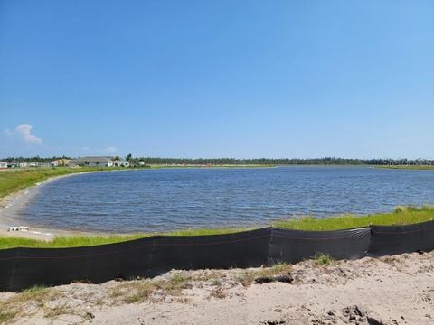 A home in PUNTA GORDA