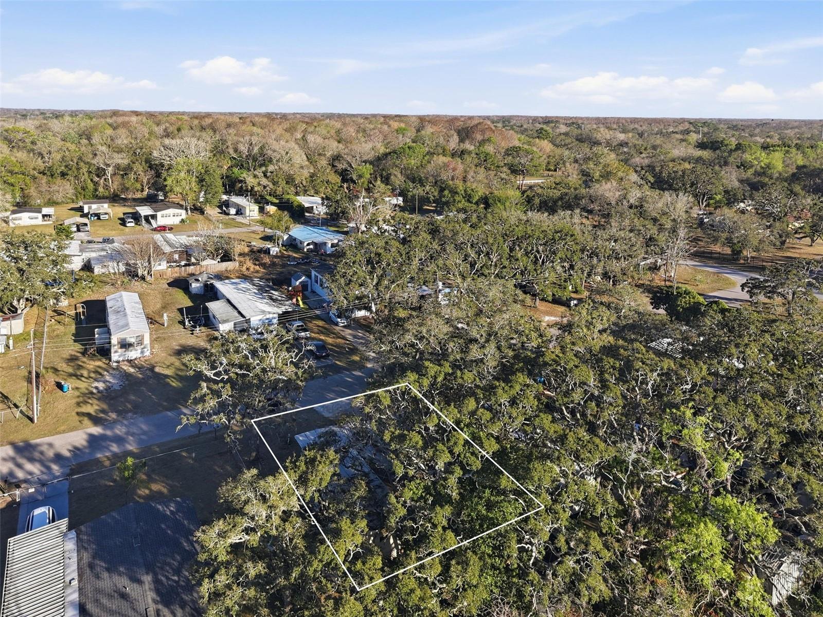 GRIFFIN PARK - Residential