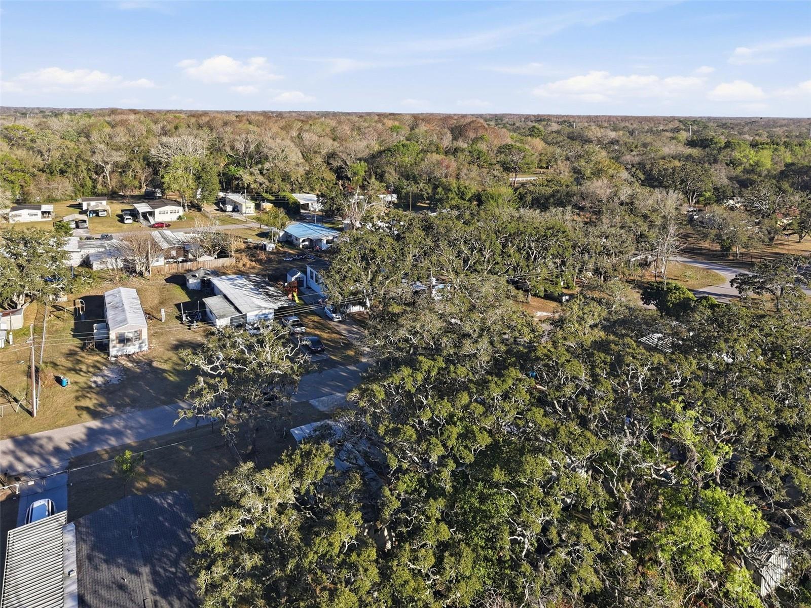 GRIFFIN PARK - Residential