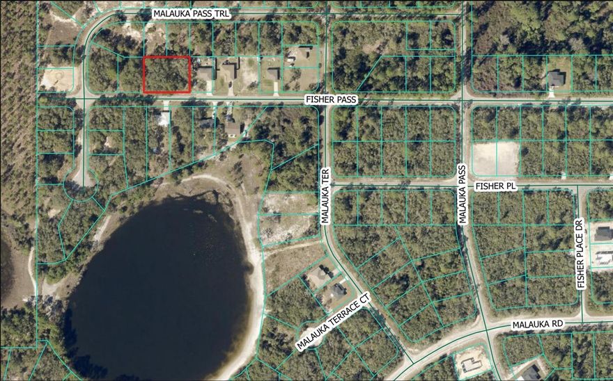 Seller will pay closing costs...No HOA…Two lots situated between Lake Weir and the Ocklawaha River, you'll find this .46 acres is amongst many large and small bodies of water providing lots of outdoor activities and offering a quiet country setting. Area of new and existing construction - homes only. Just a short commute to Summerfield, The Villages, and the Ocala National Forest.  Listed price is for both lots.