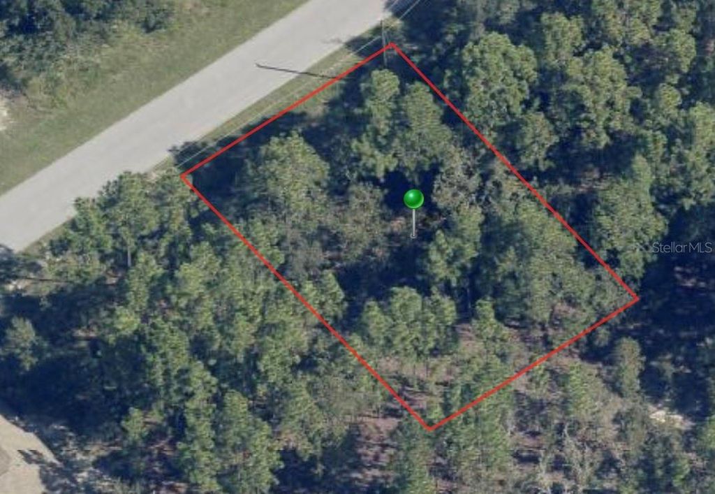 Photo of 816 W Smallman Place, Citrus Springs, FL 34434 (MLS # A4578405)