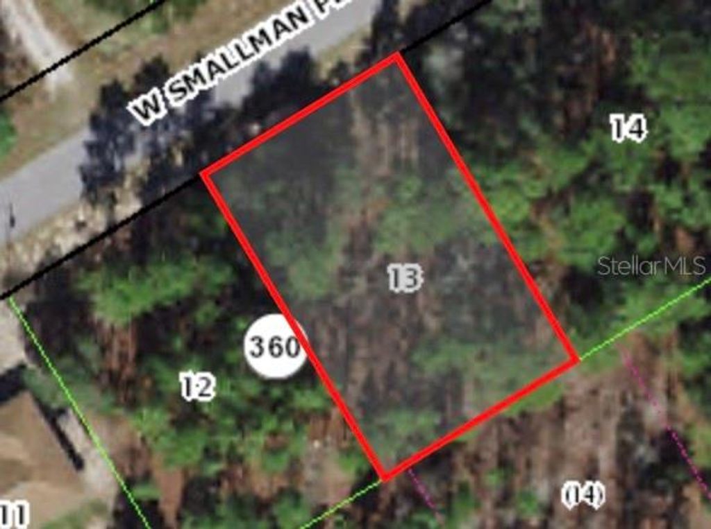 Photo of 816 W Smallman Place, Citrus Springs, FL 34434 (MLS # A4578405)