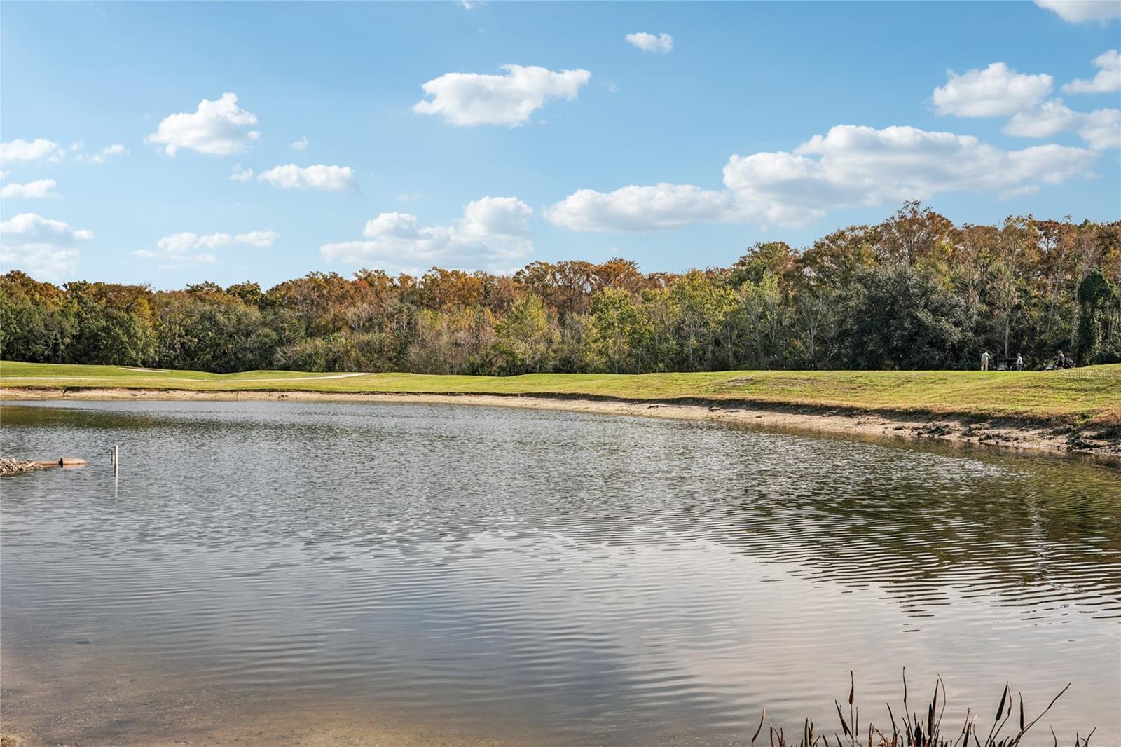 STONEYBROOK AT HERITAGE HARBOUR A-1 - Residential