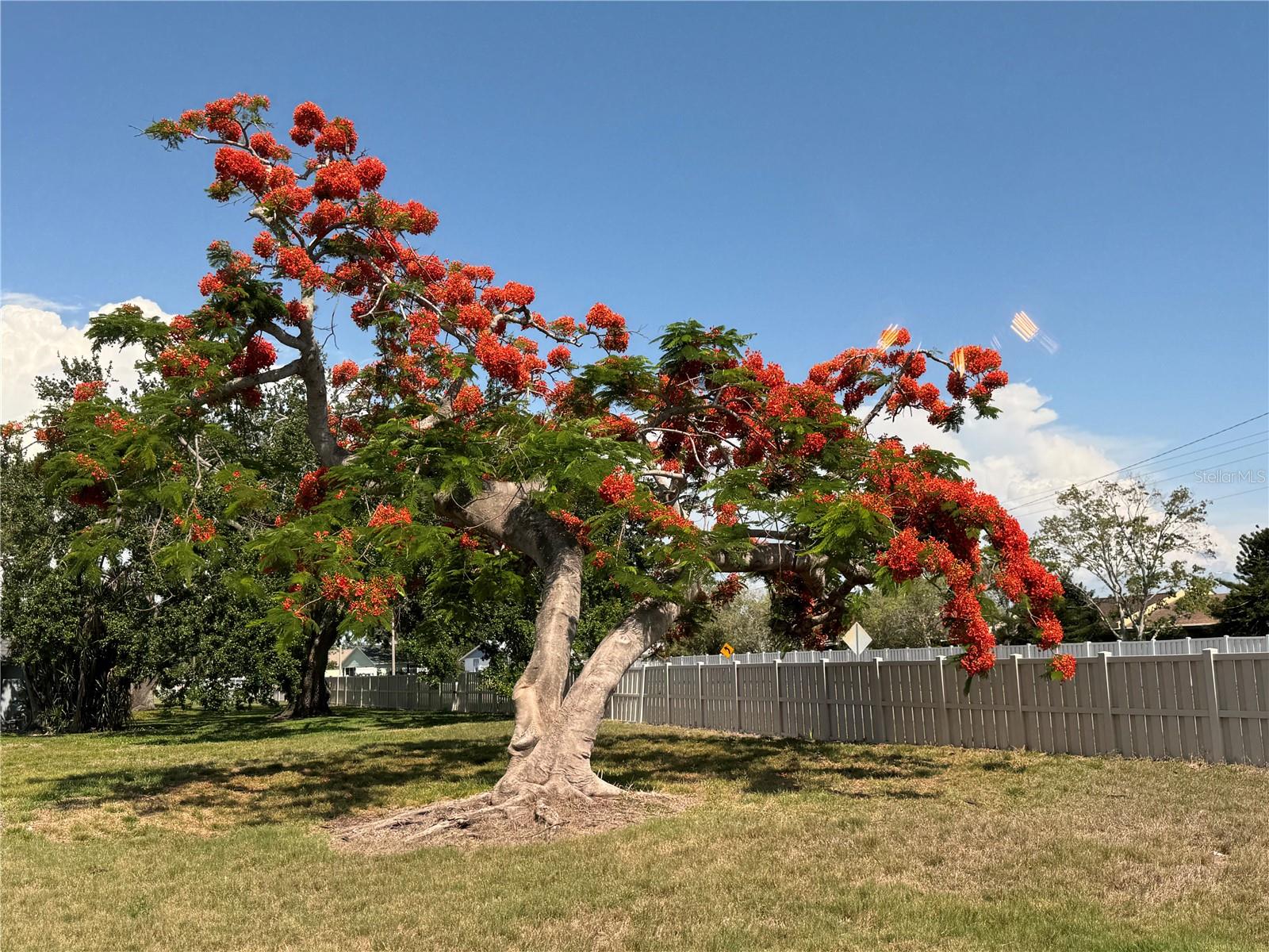 CORTEZ VILLAS 2 - Residential