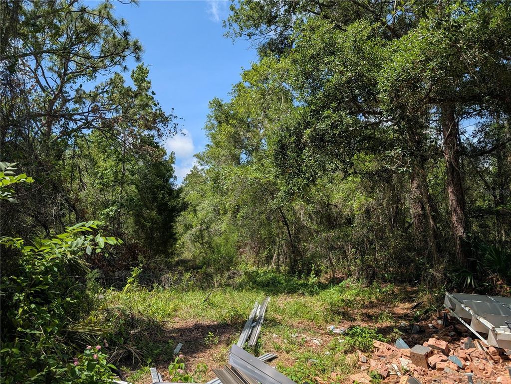 Photo of Tbd Shalimar, New Port Richey, FL 34654 (MLS # W7886278)